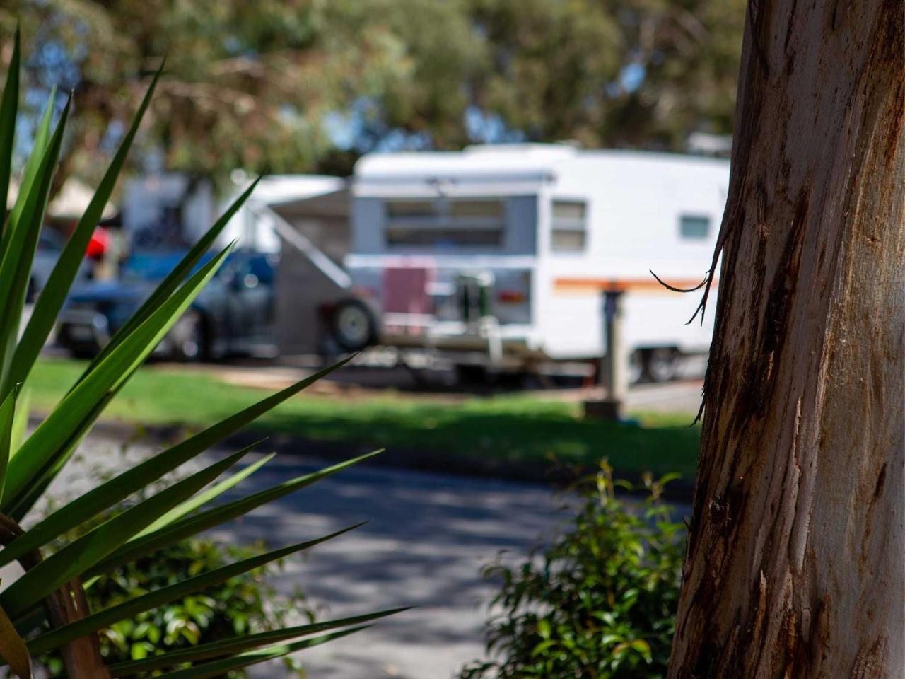 Echo Holiday Parks - Windsor Gardens Adelaide Ngoại thất bức ảnh